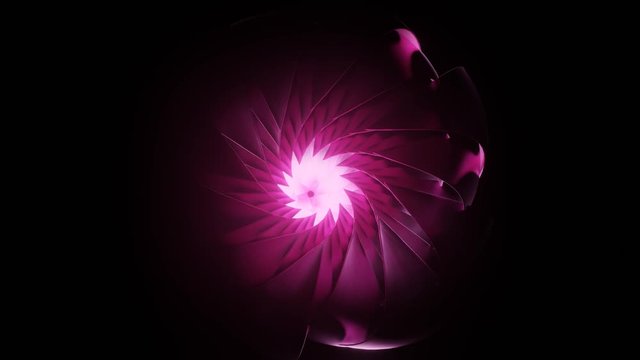 3D abstract composition. Rose Flower. 4K animation. Opening long blooming red flower