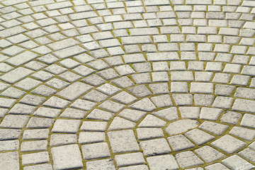 Symmetrical pattern of sidewalk tile with green moss .Grey pavement stone texture