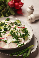 Summer okroshka with kefir. Green and red. White plate. With greens. Fresh radishes, onions and cucumbers