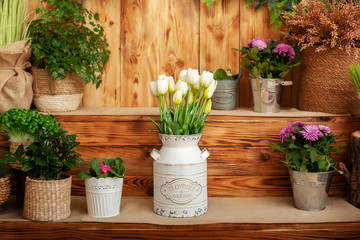 Bouquet of white tulips in a vase. decor of spring yard. Village terrace. Closeup of flower pots with plants on terrace. Spring decoration. Pot chrysanthemums. Gardening. Hobby. Flower shop window