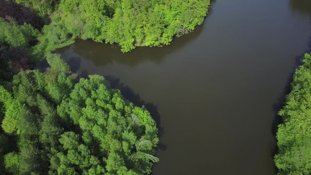 Belgique Wallonie Ardenne Bois foret lac etang eau planete