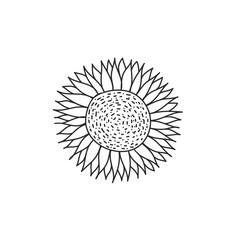 Cute flower sunflower. A sunflower with seeds. Black and white vector doodle illustration isolated on white background.