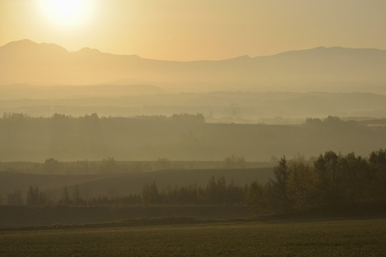 上富良野 朝日と丘の風景 © NaS