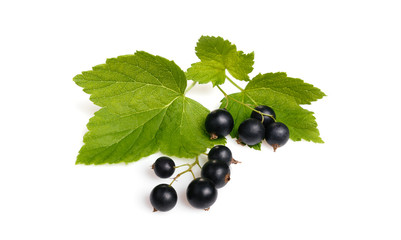 Black currant and leaves isolated. Flat lay, top view