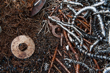 a bunch of  metal shavings 