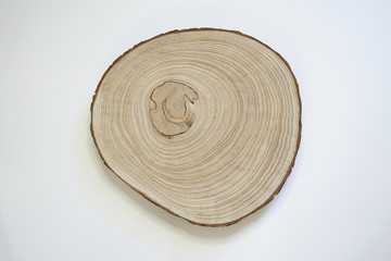 Tree trunk white background