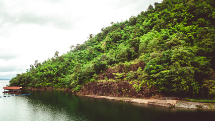 Fototapeta premium The trees. Mountain on the island and rocks. Jungles, trees, river. Mangrove landscape. Thailand