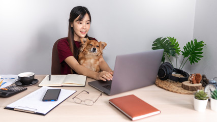 Pretty asian woman working remotely from home using laptop sitting on the couch or sofa in living room for work online with pet puppy cute dog and guardian, work life balance concept.