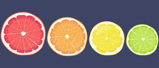 Set of citrus fruits. Lemon, lime, orange and grapefruit in cartoon style.