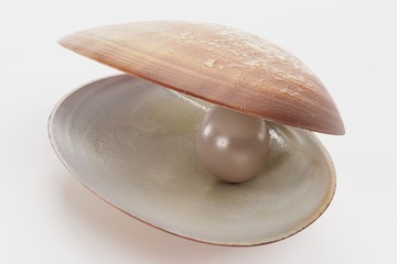Realistic 3D render of Clam with Pearl