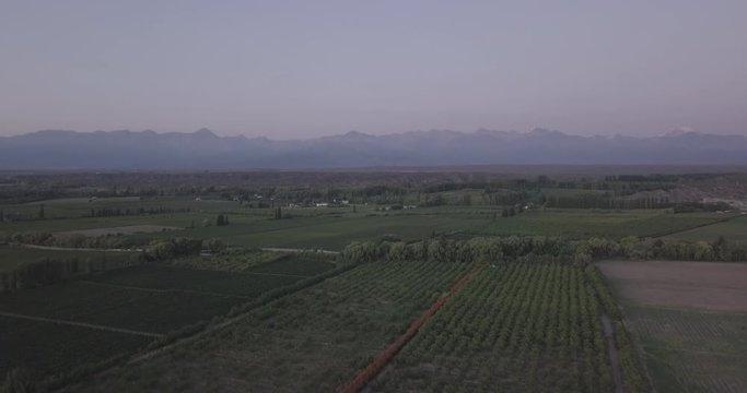Ungraded, Ascending aerial flight over field towards Mountain Range of Cordillera de los Andes. Drone, 4K. 
Valle de Uco, Tupungato, Mendoza, Patagonia, Argentina