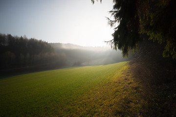 Naklejka na ściany i meble moody landscape in the hills of Winterberg germany 