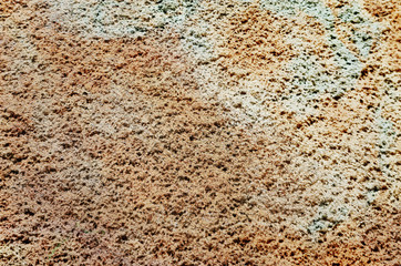 grungy wall - Sandstone surface background