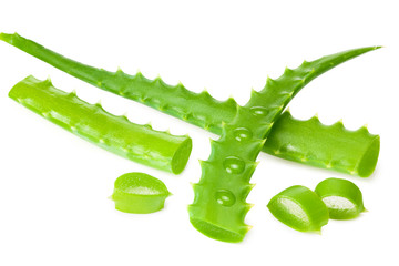 Aloe vera with slices isolated on a white background