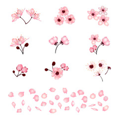Set of beautiful cherry blossoms isolated on a white background. Collection of pink cherry trees or Apple trees, Japanese cherry trees. Floral design elements. Vector illustration