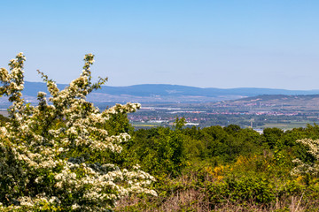 Wide angle view at landscape from Rotenfels, Bad Muenster am Stein