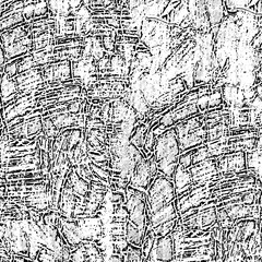 Black and white grunge texture. Monochrome abstract background. Pattern of dust, chips, cracks, and destruction. Chaotic pattern on an old worn surface