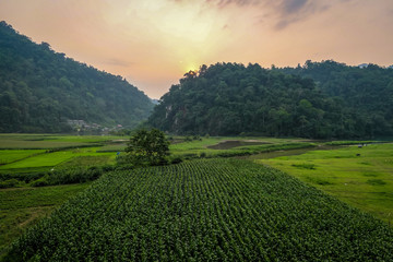 Obraz premium typical Vietnamese landscape in spring in Ba Be Lake
