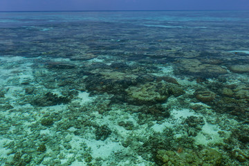 Indian ocean with coral reefs