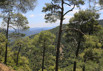 Troodos mountains landscape