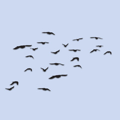 Flying birds silhouettes paper cut drop shadow on isolated background. Vector illustration. isolated bird flying. tattoo design. template for card, poster, product design.