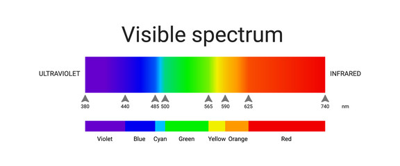 visible spectrum light. infographic of sunlight wavelength. vector
