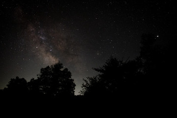 戦場ヶ原に昇るいて座とさそり座