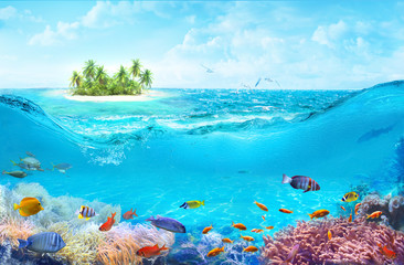 Fototapeta na wymiar Animals of the underwater sea world. A beach on a tropical island. Colorful tropical fish. Life in the coral reef.