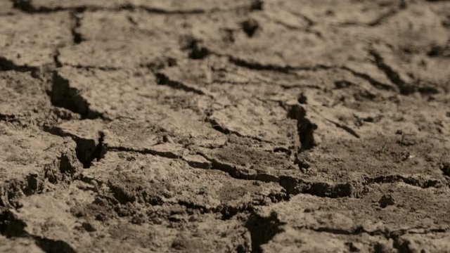 Drought cracked soils, dry-cracked lakes, drought soil at river bottom. Ecosystems caused by climate change. Drought concept.dried and cracked soils. thirst and desertification.close-up macro dolly