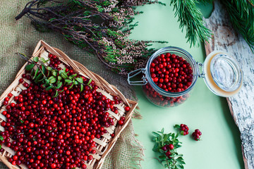 autumn berries on table, lingonberry raw closeup