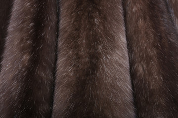 Skins of natural fur sable.