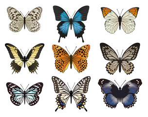 Set of multicolored butterflies.