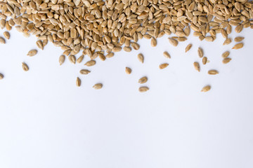group of peeled sunflower seeds on white background