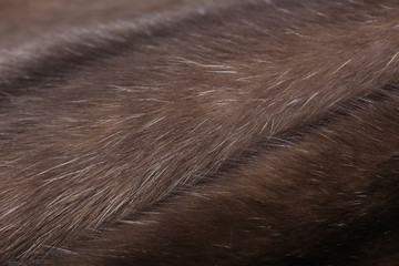 Skins of natural fur sable.