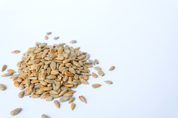 group of peeled sunflower seeds on white background