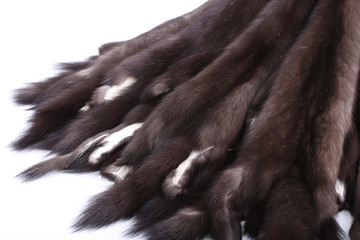 Skins of natural fur sable.