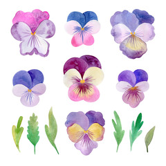 Watercolor pansies set isolated on a white background. Hand drawn flowers for wedding invitation, postcard, greeting card. Floral collection of stickers. Colorful clip art elements 