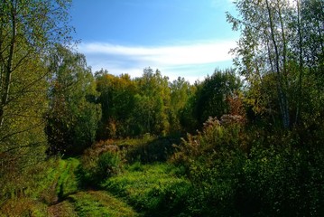 Fototapeta na wymiar dirt road through a field in autumn, Russia