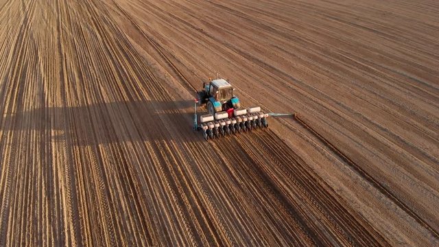 Farmer on a tractor with a precision seeding planter Shuttle plants row crops, fertilizes the soil, marks a landmark for rowness. Field work at sunset. Aerial view, the drone flies after the tractor