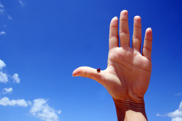 Close up picture of hand showing high five over blue sky as background