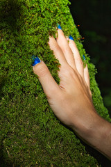 Hand touching moss