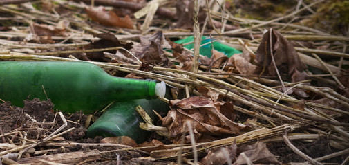 Discarded glass bottles lies in the grass. Glass bottle thrown in the forest. The problem of ecology and nature pollution.
