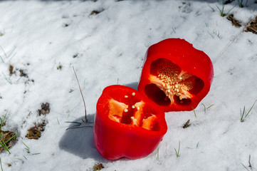 halved red bell pepper in white snow