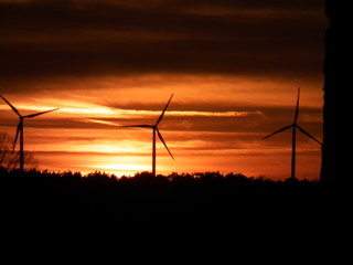 Windkraftanlagen vor Sonnenuntergang