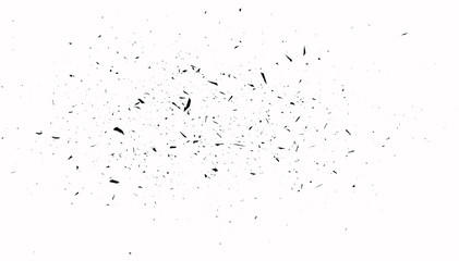 Black Noise on White Backround, Vector Texture