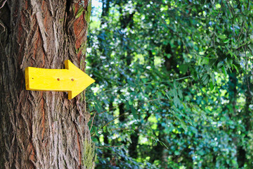 Yellow arrow signal showing the way to Saint James