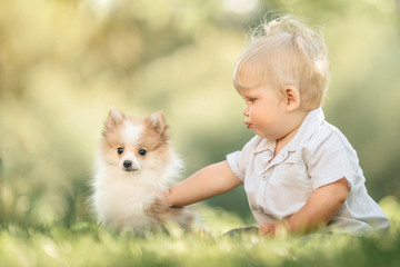  little baby boy sitting on the grass in summer,, playing with a small Pomeranian puppy. Selective focus, space for text