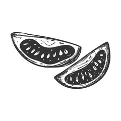 Sketch of a tomato slice. Hand drawn and isolated on white. Decorative element for menu design, recipes, cooking magazines, food packaging. Black and white vector illustration. Doodle.