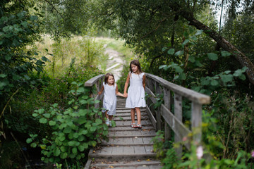 Children siblings play climb on a wooden bridge