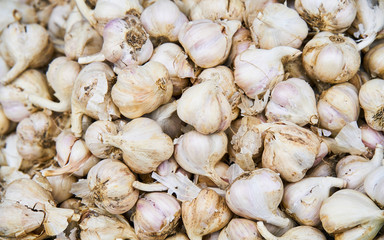 Dry garlics background reflex
